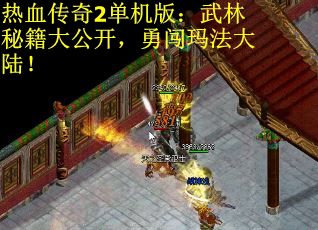 热血传奇2单机版：武林秘籍大公开，勇闯玛法大陆！